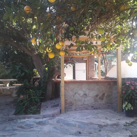 Finca Los Aguacates Trapiche  Ngoại thất bức ảnh