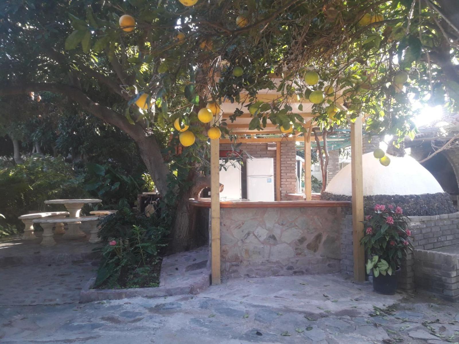Finca Los Aguacates Trapiche  Ngoại thất bức ảnh